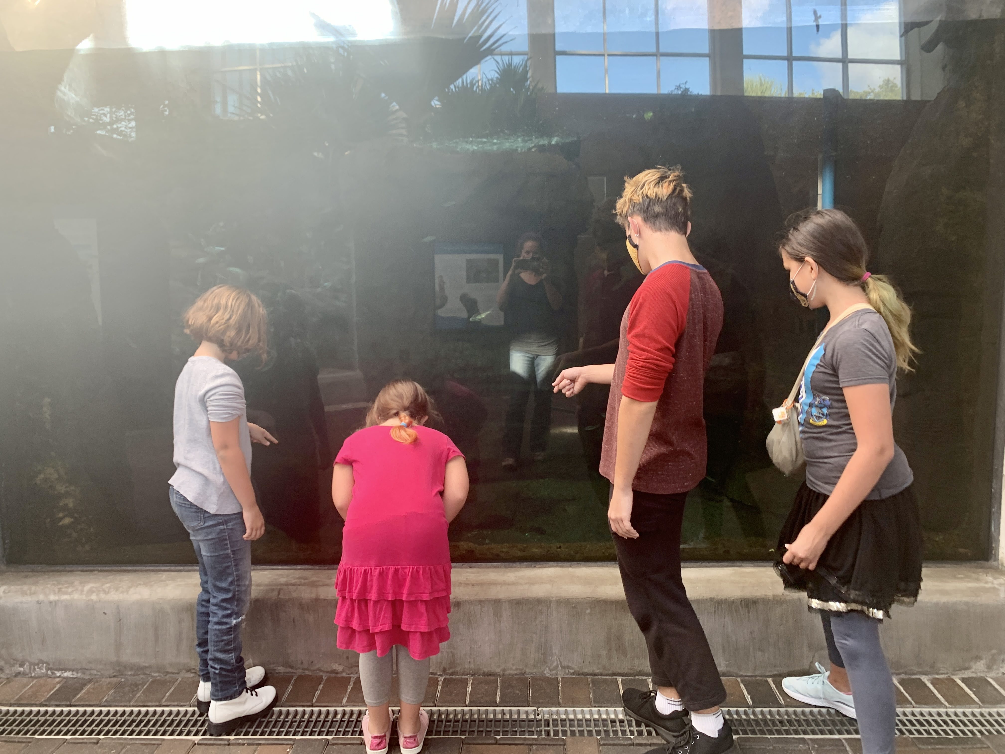 aquarium